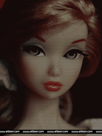     2013 11-5.gif